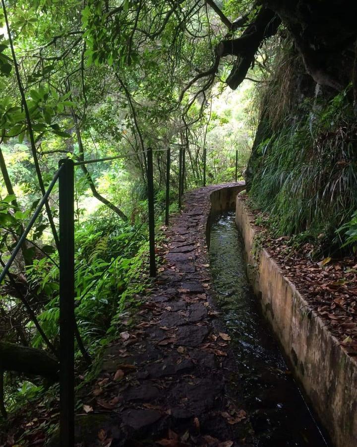 Spot Matur * Machico (Madeira)