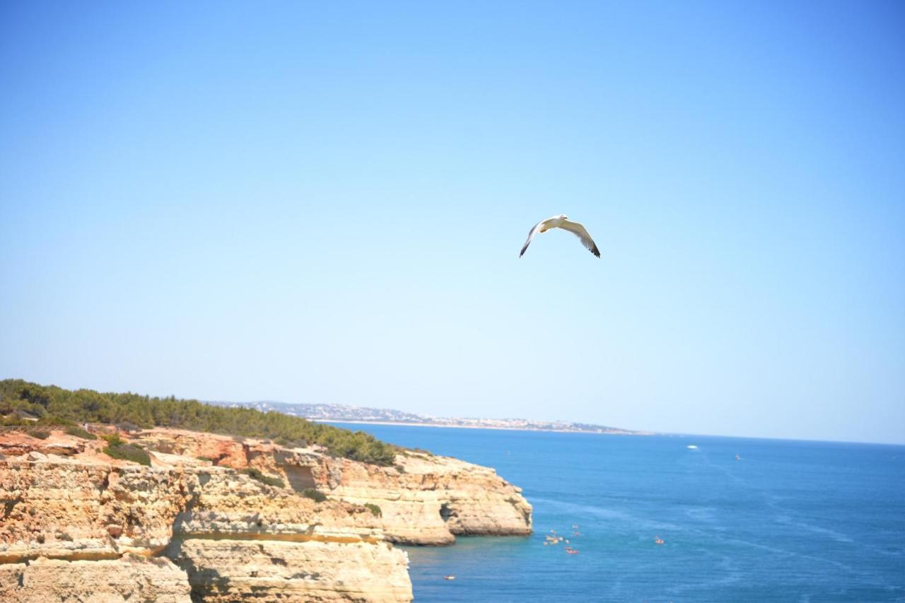 Holiday home Casa Benagil Mar Lagoa (Algarve)