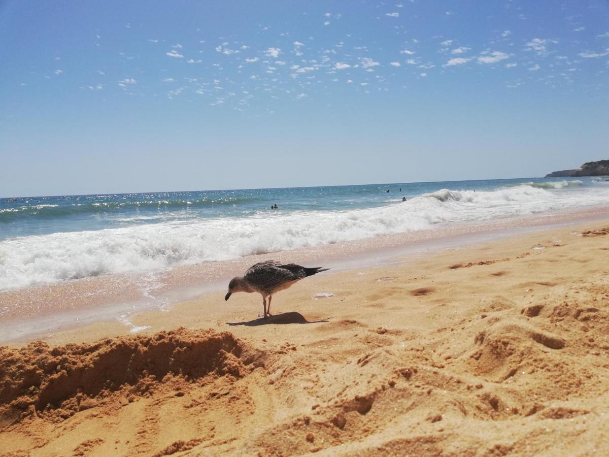 Apartment Do Algarve