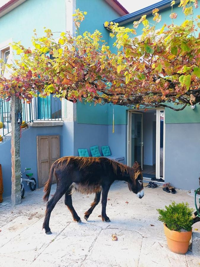 Quinta Da Quinhas Farm stay Vila Praia de Ancora