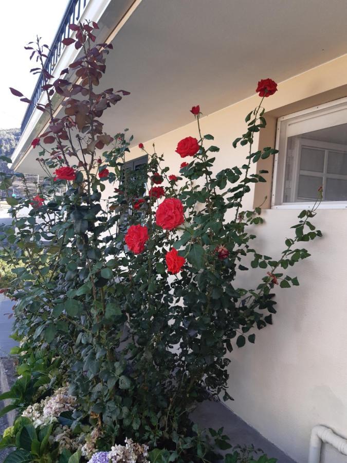 Apartamento Piquinho