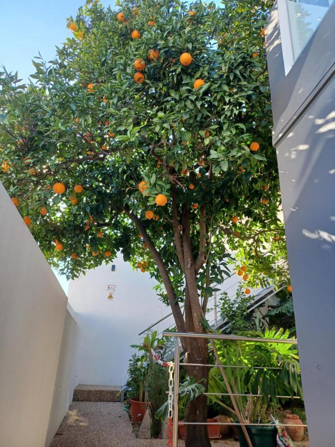 Cerro E Mar Guest house