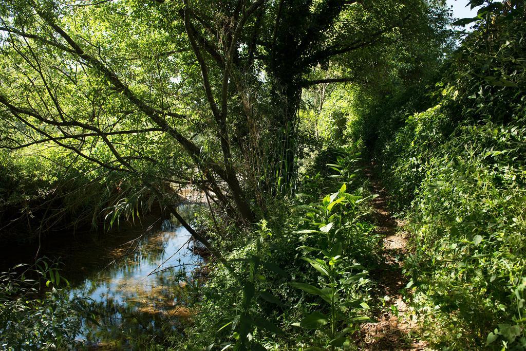 Recanto Da Ribeira * Monchique