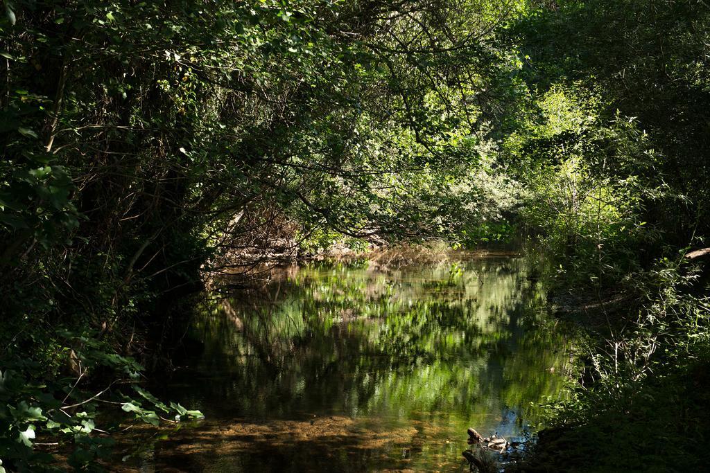 Recanto Da Ribeira Monchique