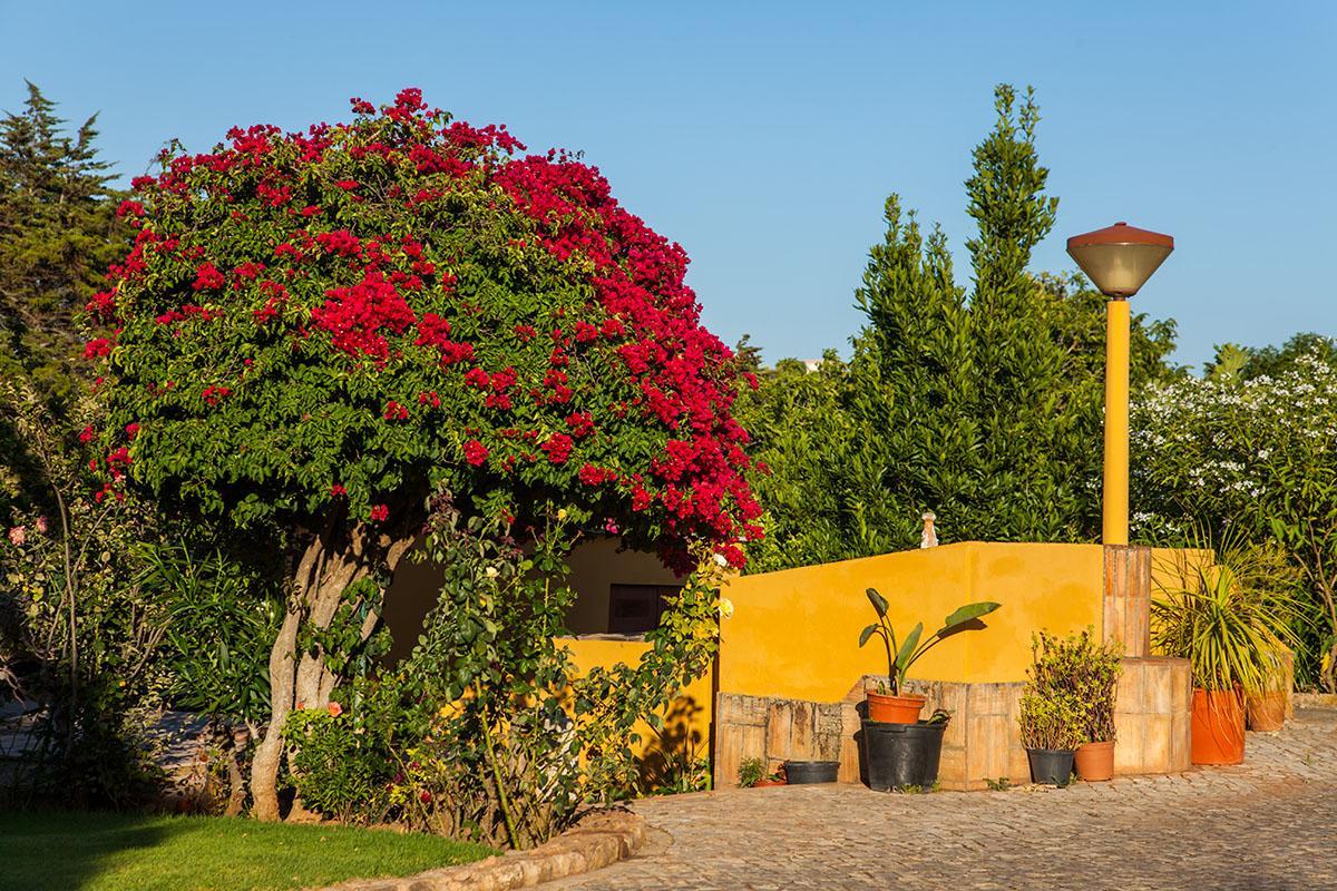 Hotel Montinho De Ouro