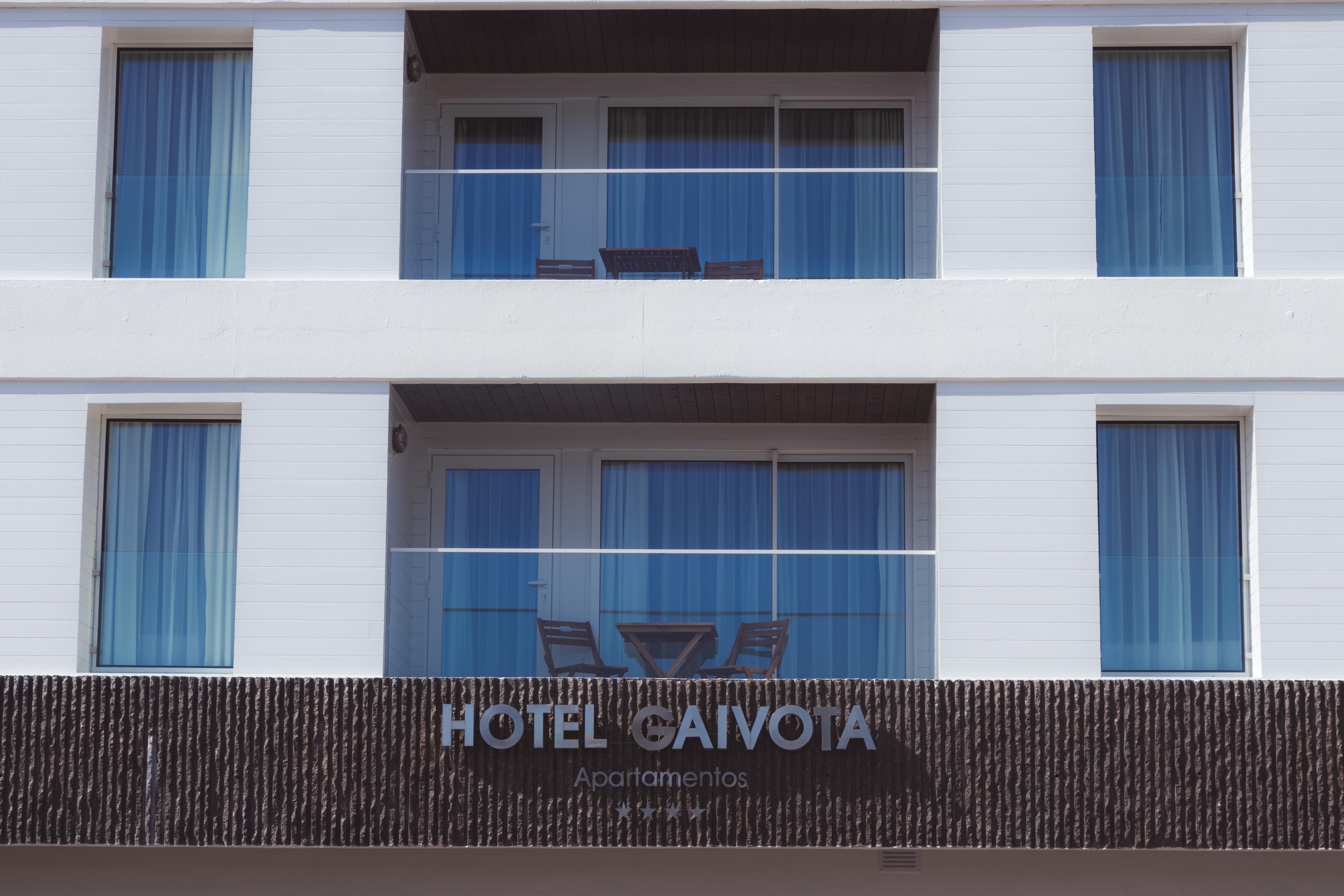 Gaivota Azores