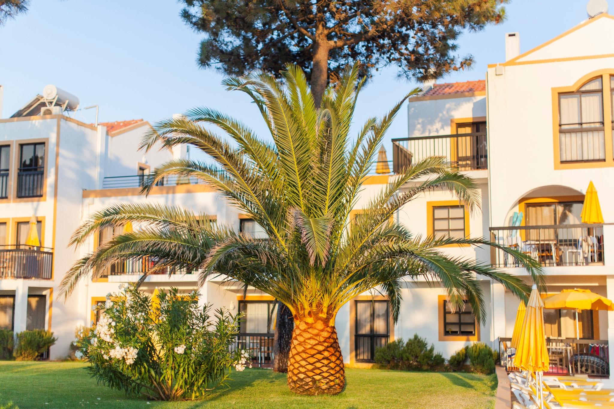 Aparthotel Alfagar Village Albufeira