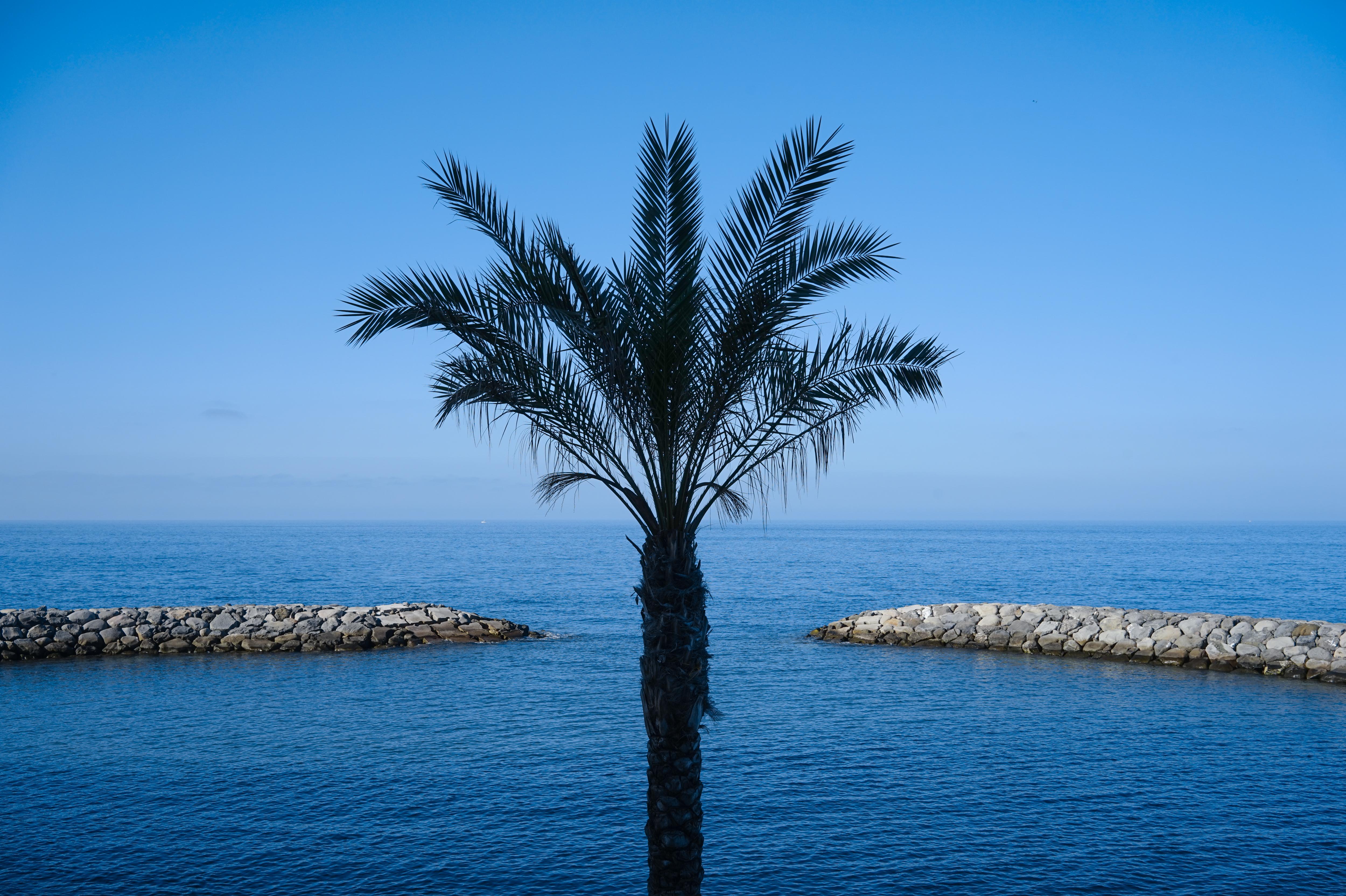 Resort Saccharum - And - Savoy Signature 5*