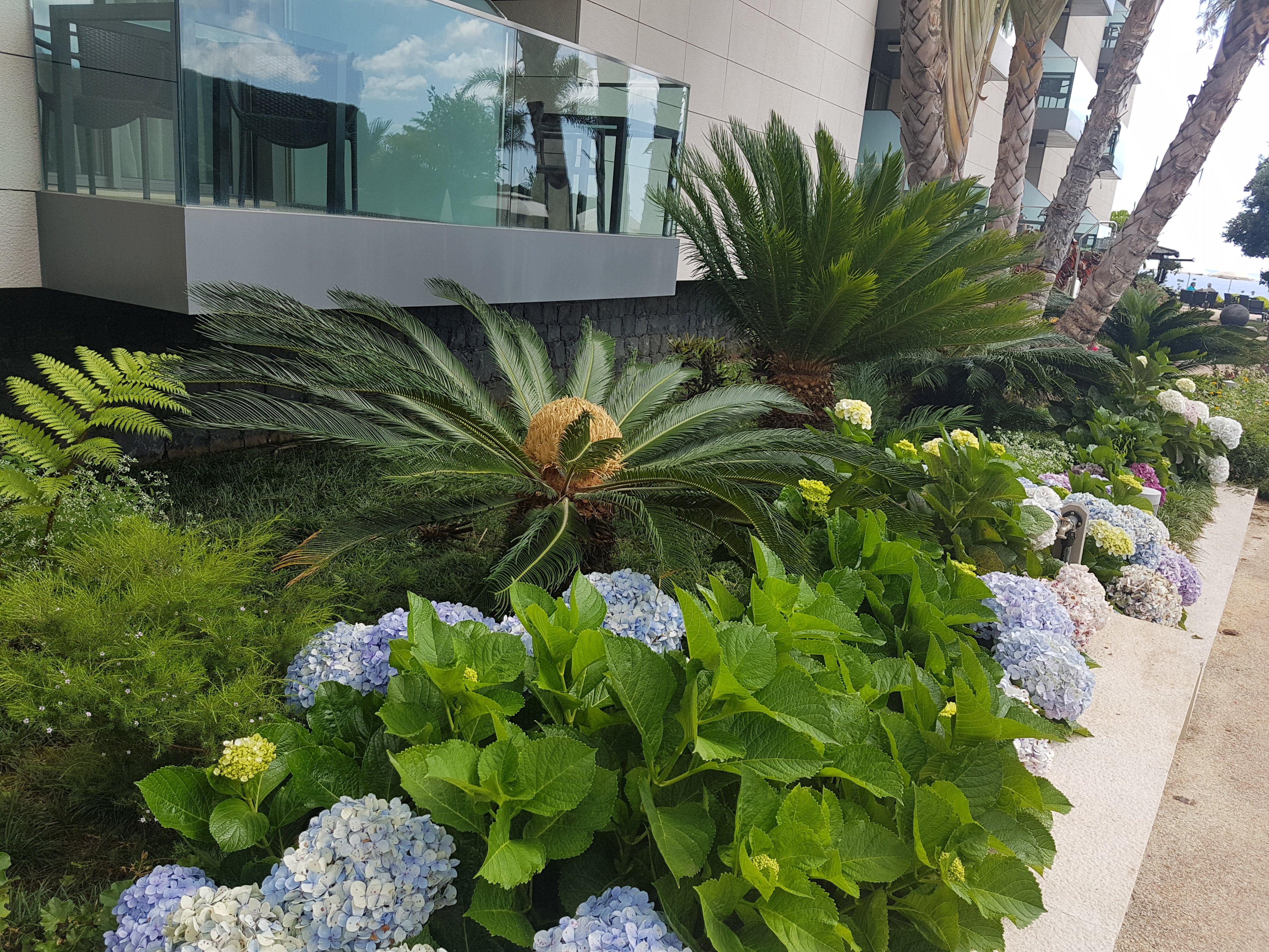 Hotel Golden 4*