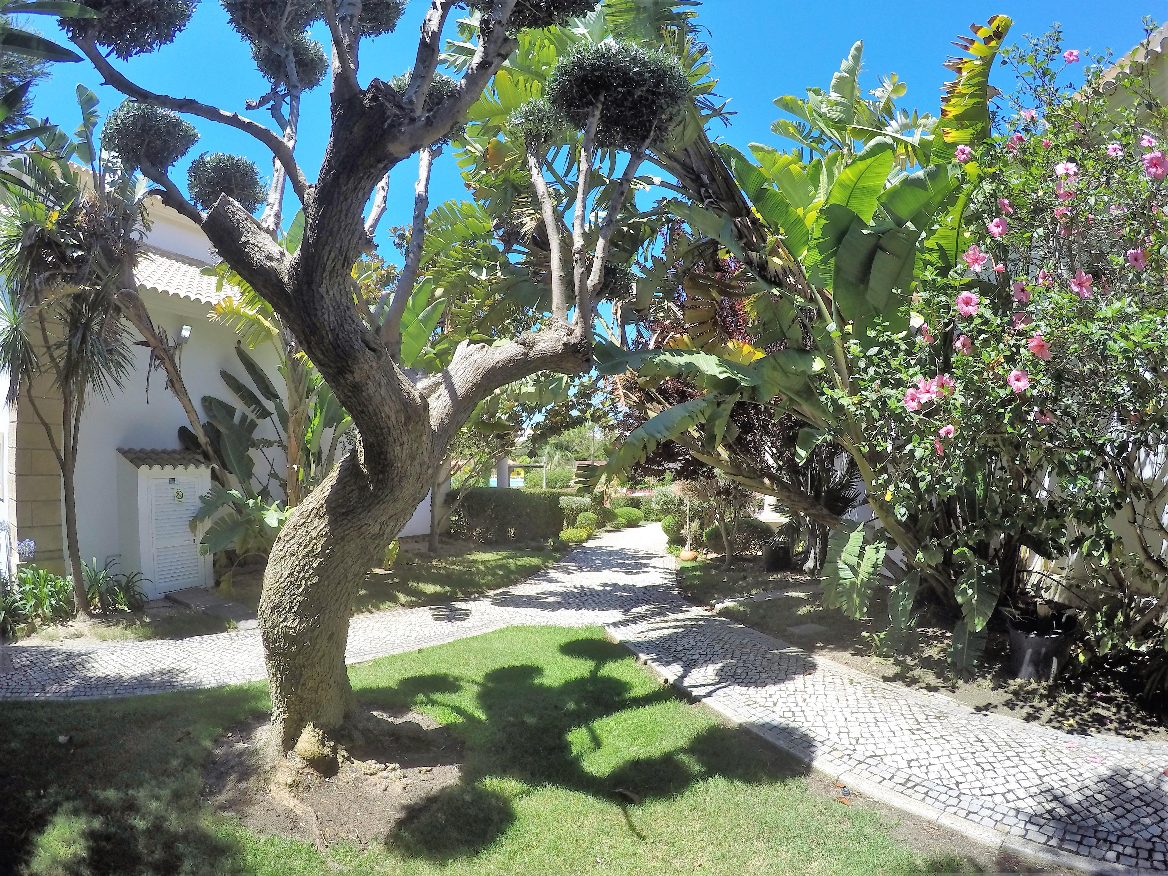 Holiday park Luzmar Praia Da Luz