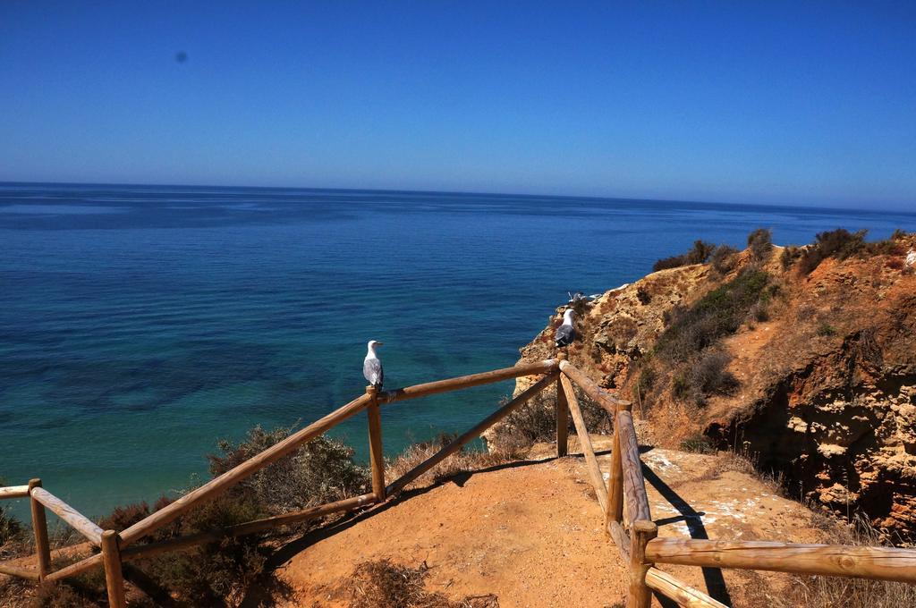 Paraiso De Portimao