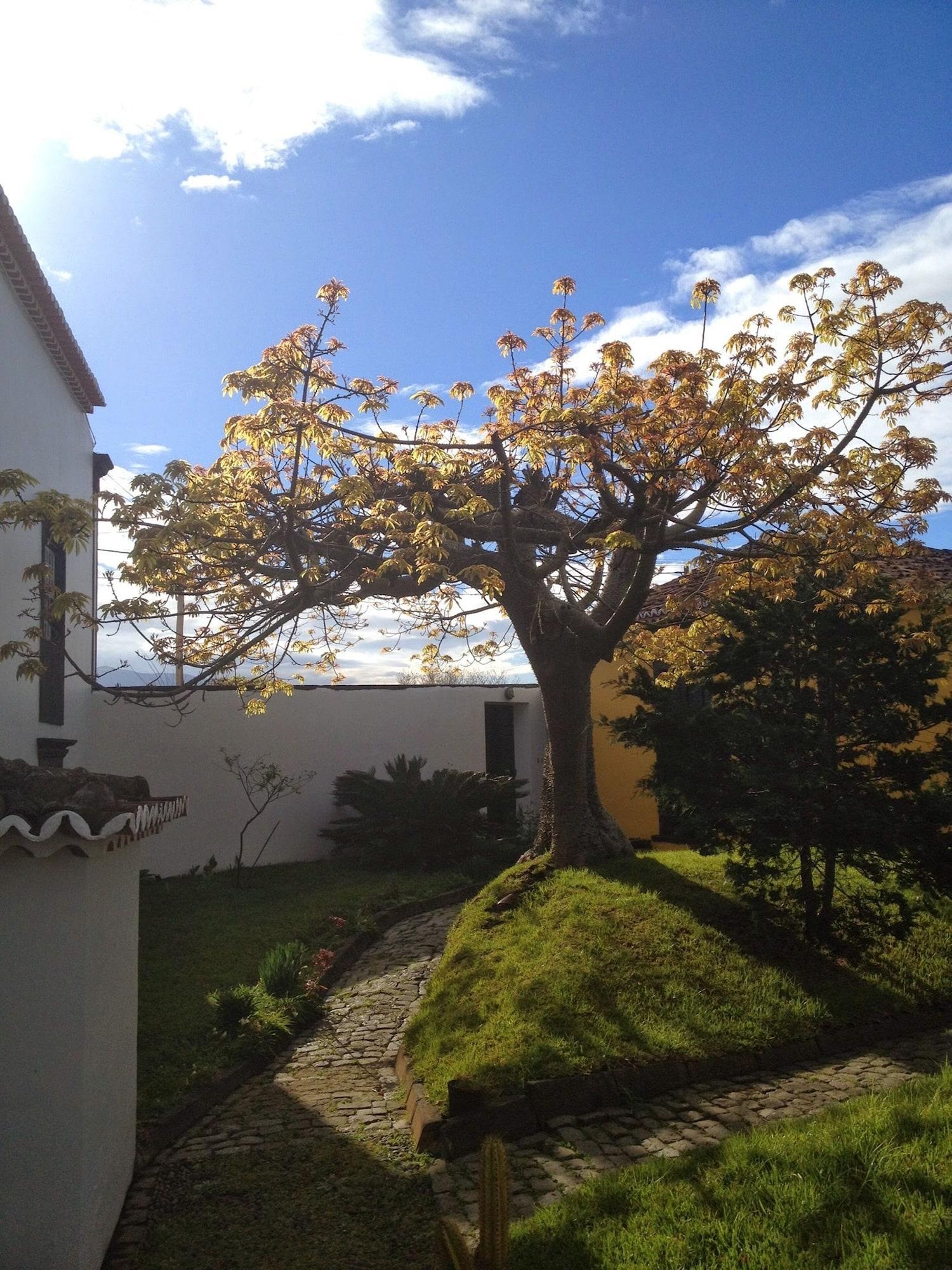Bed and breakfast Casa - Turismo De Habitacao Calhetas