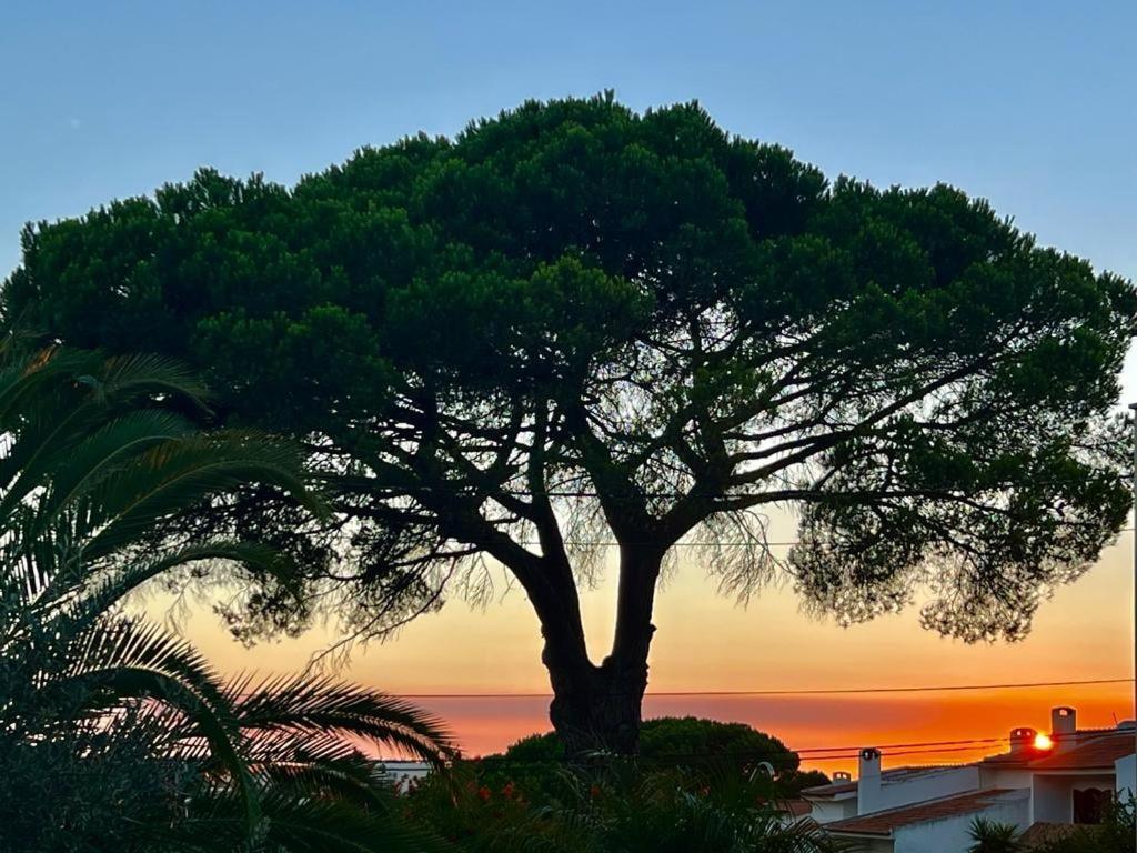 Bed & Breakfast De Sol *