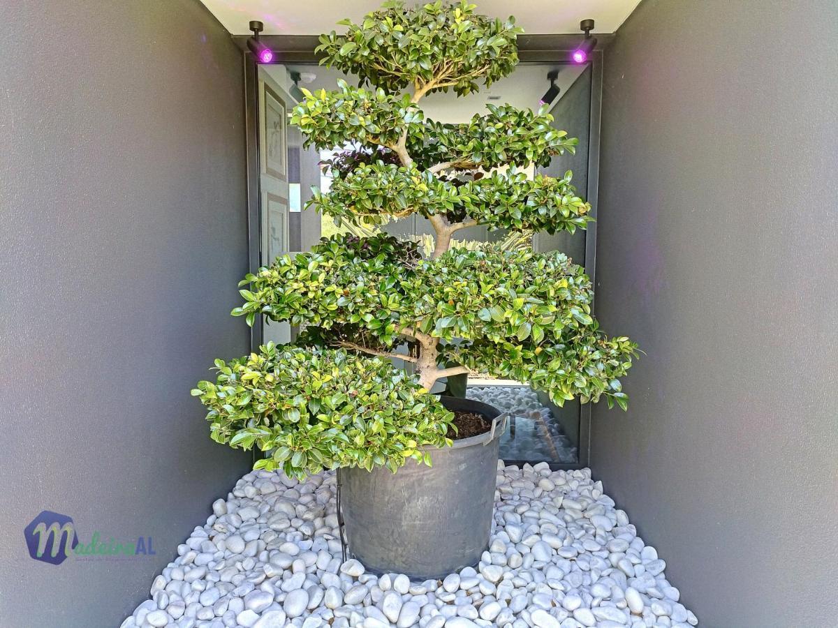 Villa Bonsai Arco da Calheta (Madeira)