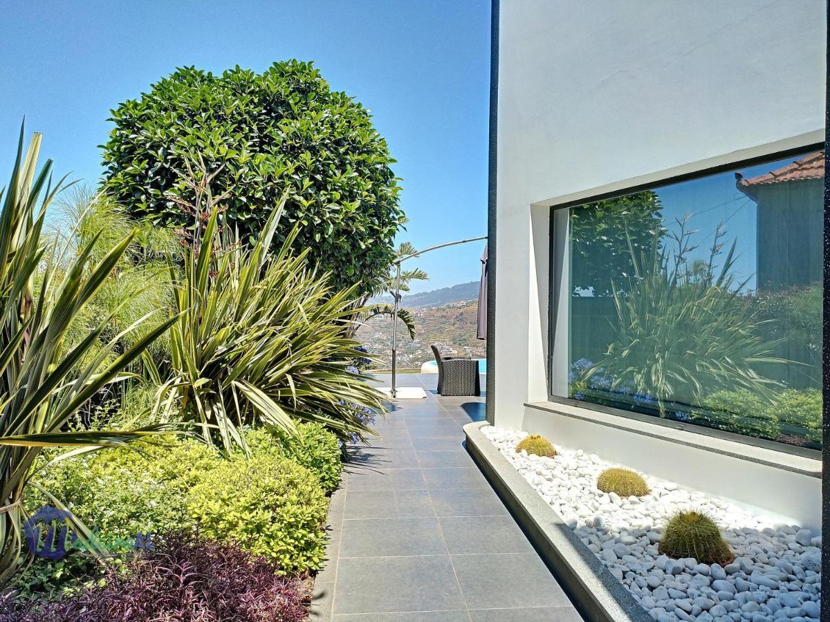 Bonsai