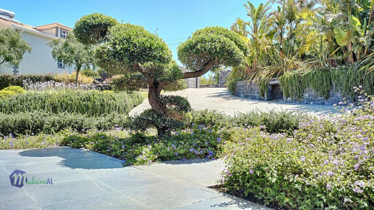 Bonsai *