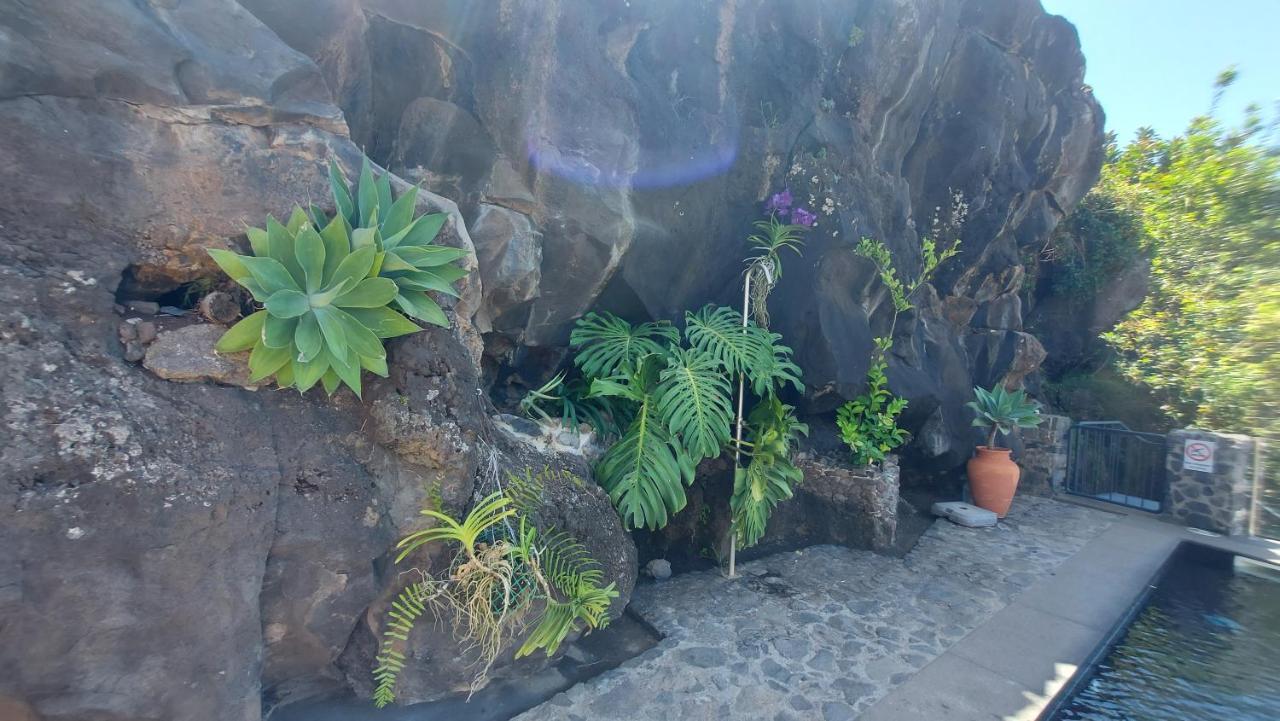 Apartment Castelo Do Mar, Madeira