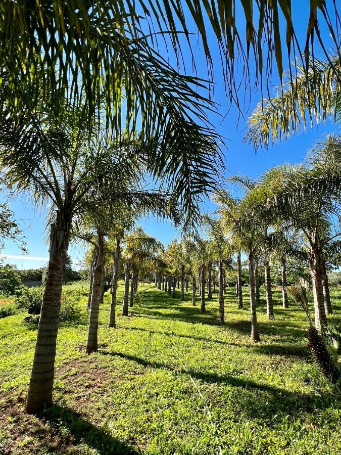 Palm View Guesthouse, Adults Only Bed & Breakfast Luz