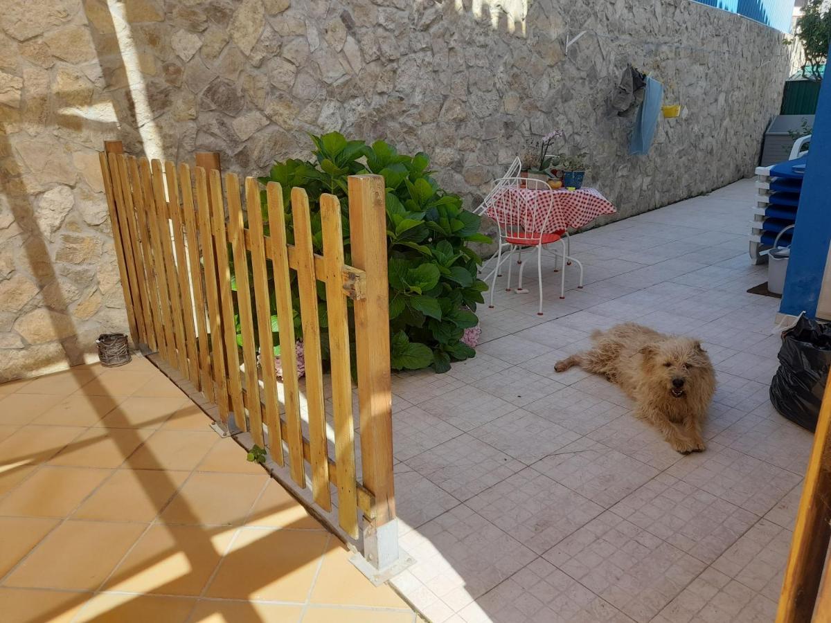 Alegria * Ericeira