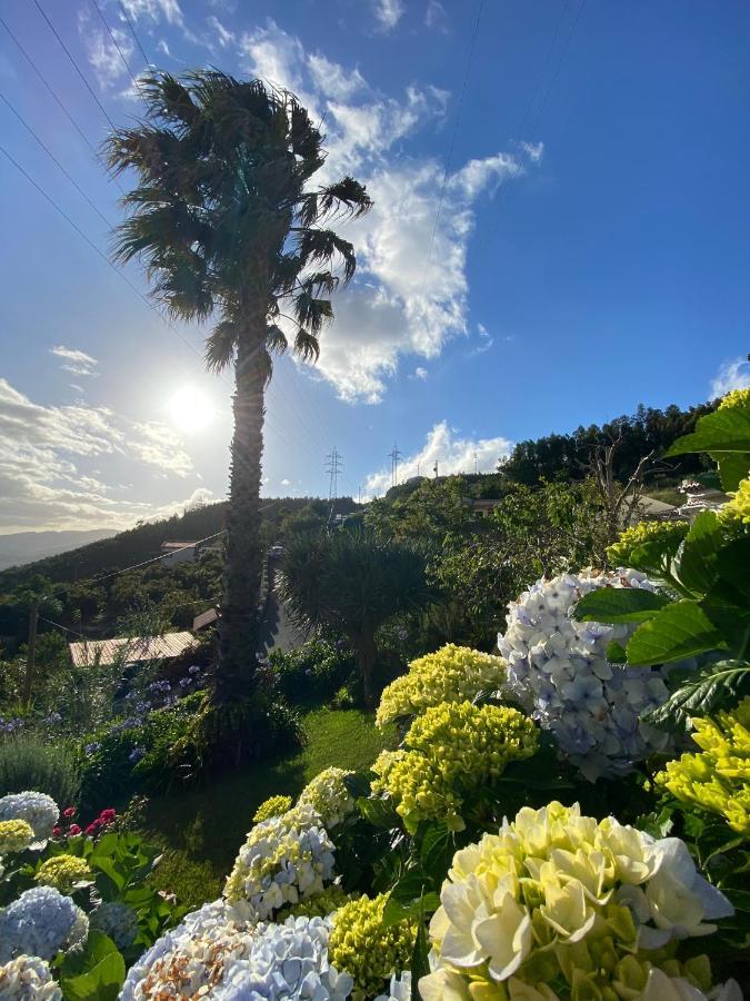 Paraiso - Traumgarten, Meerblick, Wandern Und Golf * Funchal (Madeira)