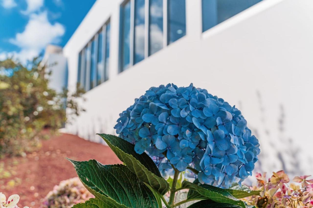 Holiday home Quinta Do Charco *
