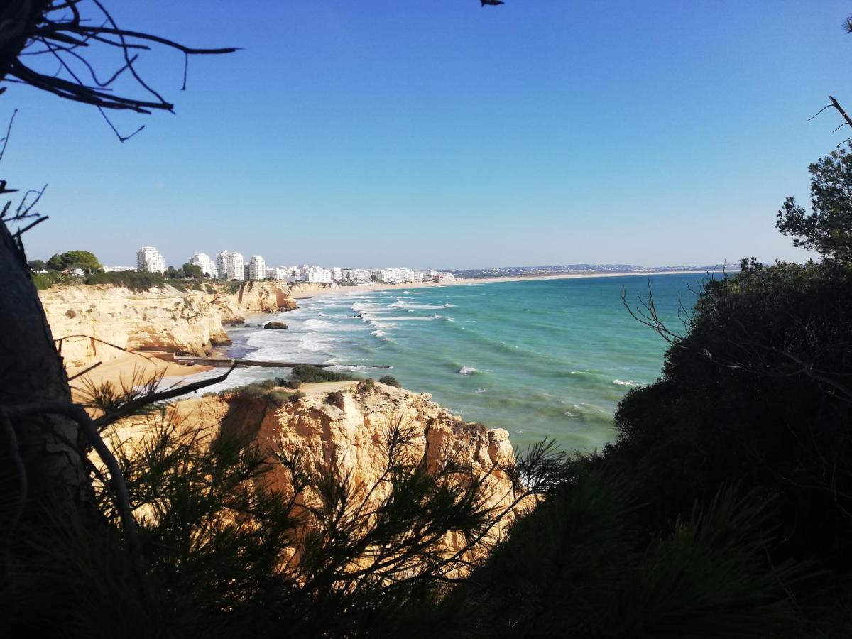 Do Algarve Apartment Armacao de Pera
