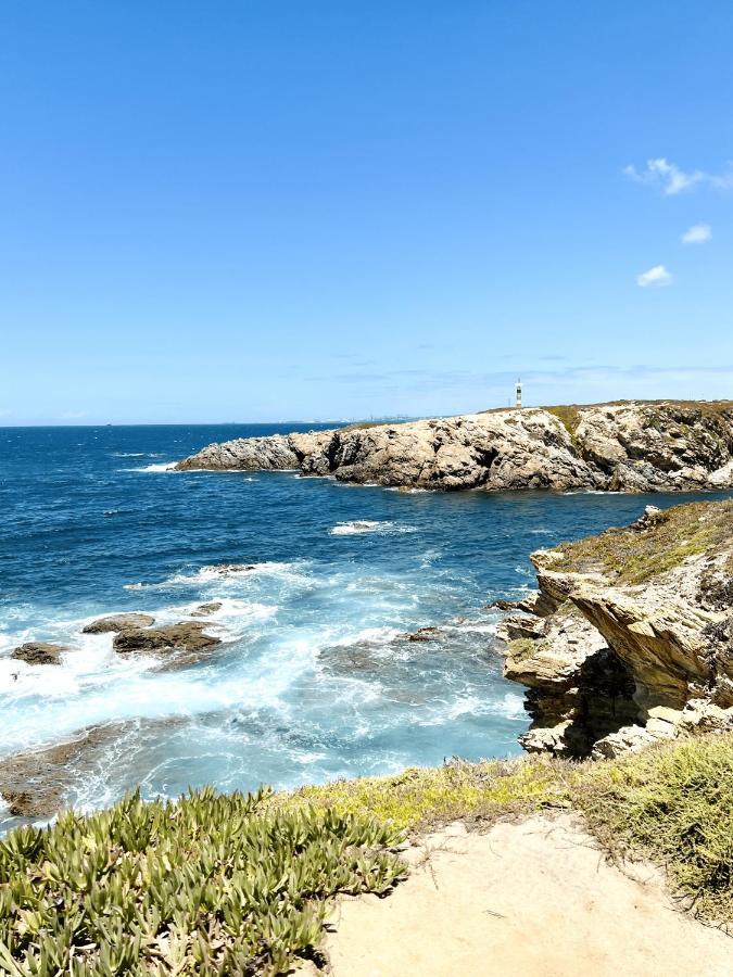 Guiomar Campos Porto Covo