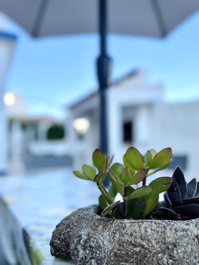 Apartment Guiomar Campos Porto Covo