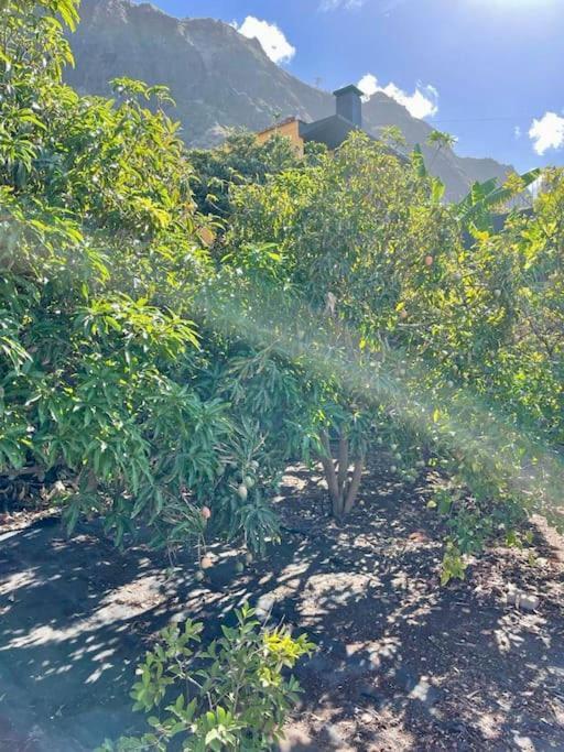 Holiday home Casa Mabu By Your Madeira