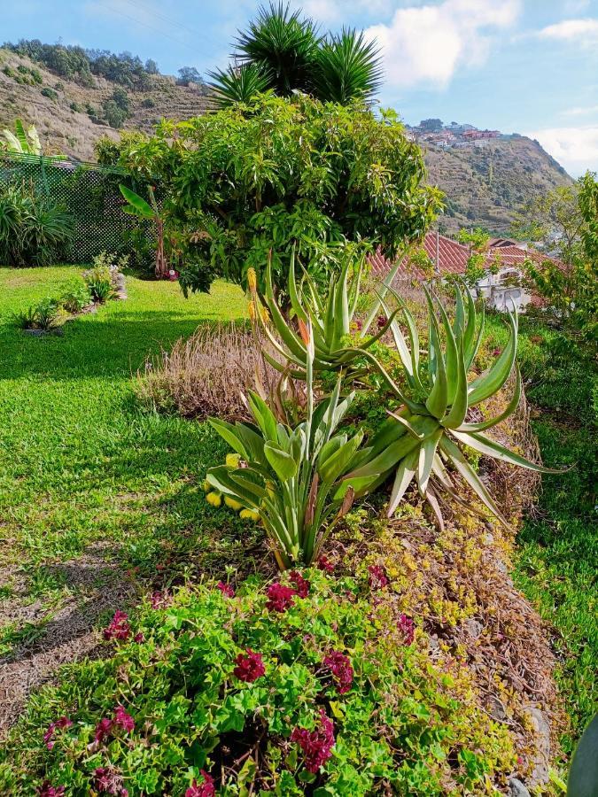 Vista Romantica Madeira Apartment Arco da Calheta (Madeira)