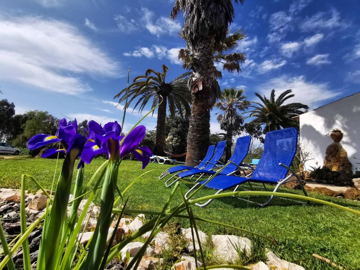 Quinta Do Paraiso Holiday home *