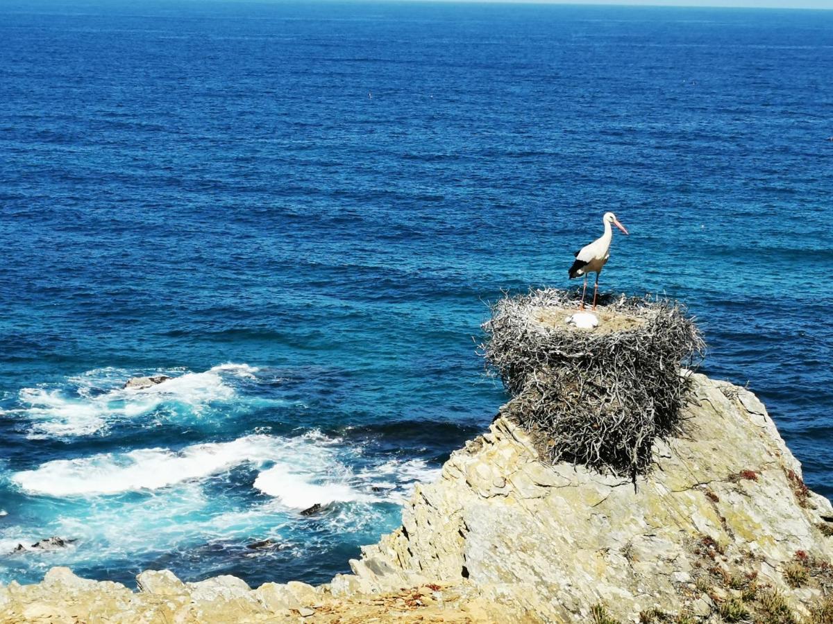 Holiday home Quinta Do Paraiso *