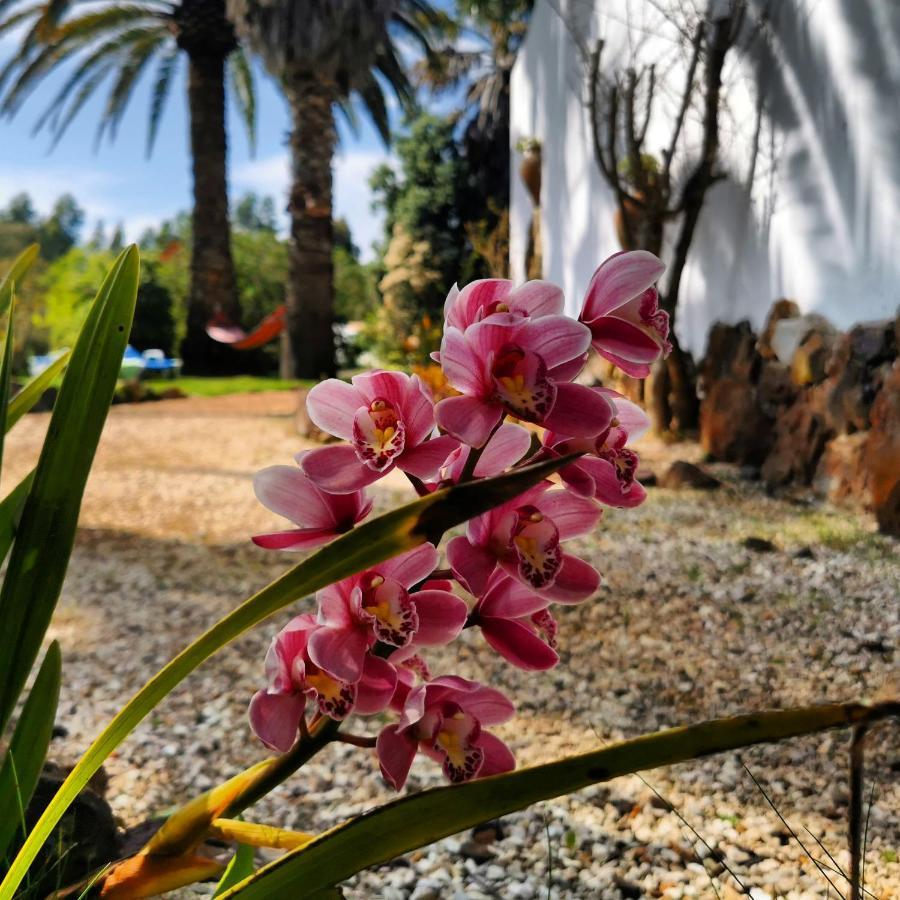 Quinta Do Paraiso Holiday home *