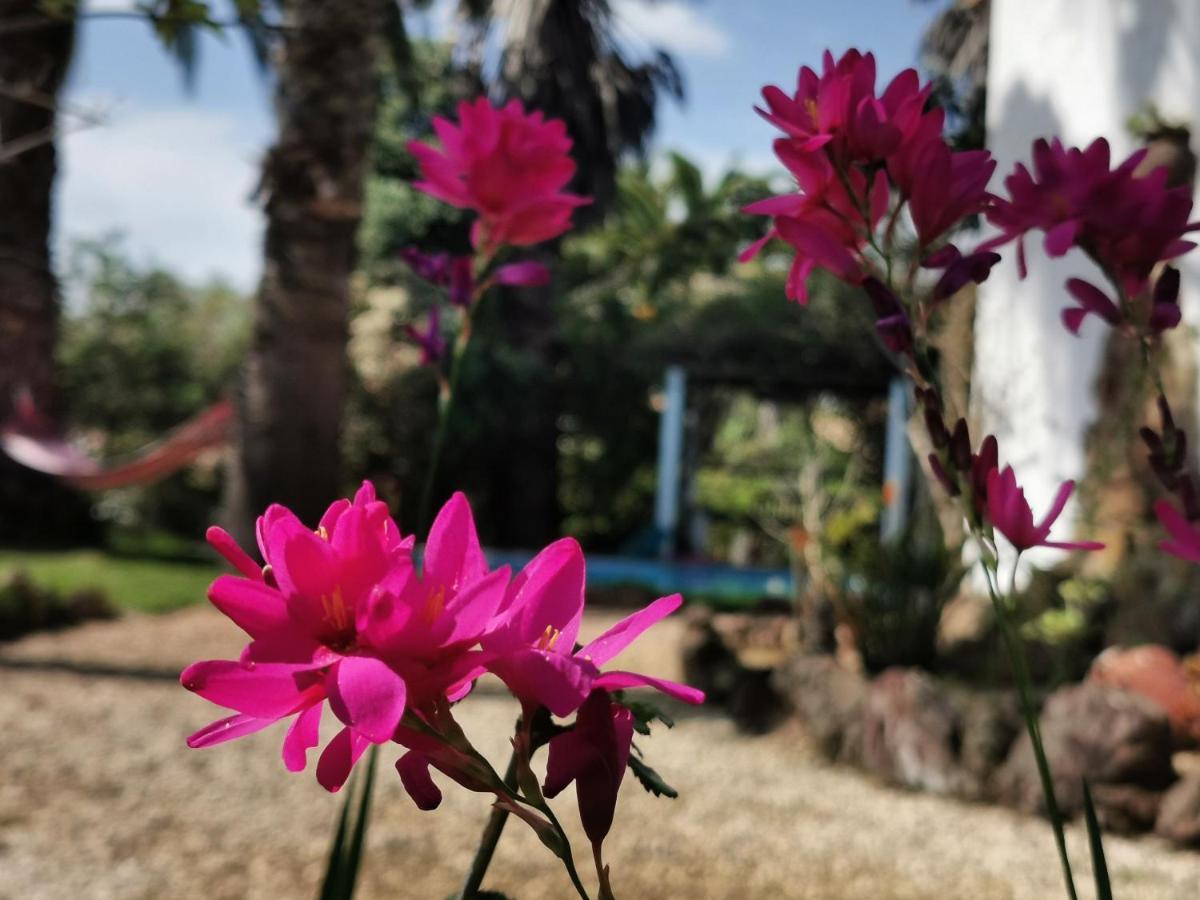 Holiday home Quinta Do Paraiso