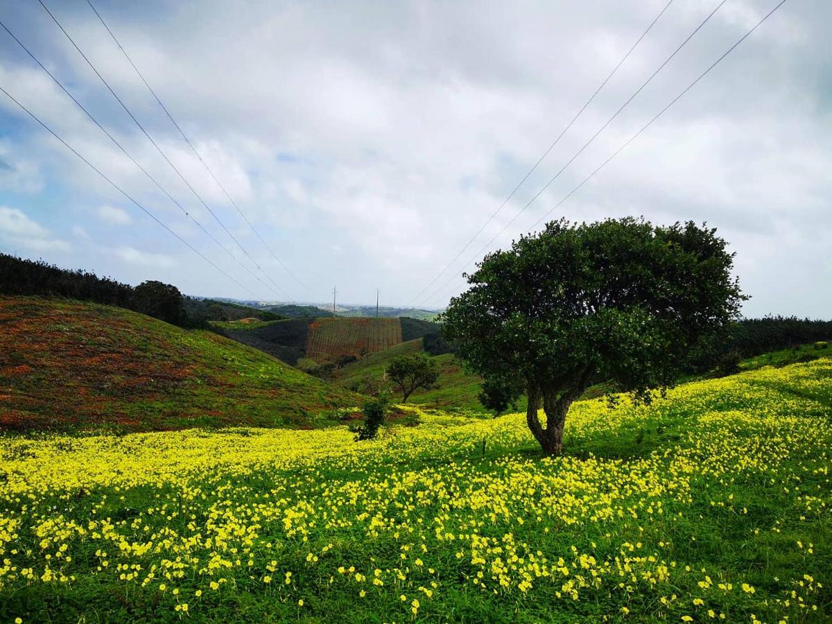 Quinta Do Paraiso Sao Teotonio
