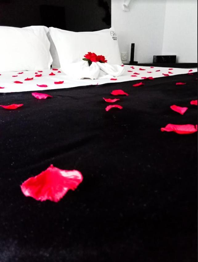 Absoluto Design 4*