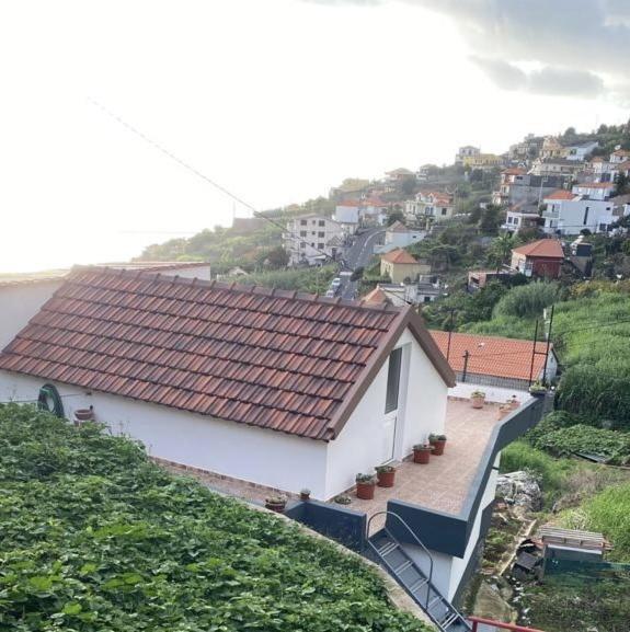 Cozy 1 Bedroom W/ Balcony, Ocean View & Perfect Sunsets