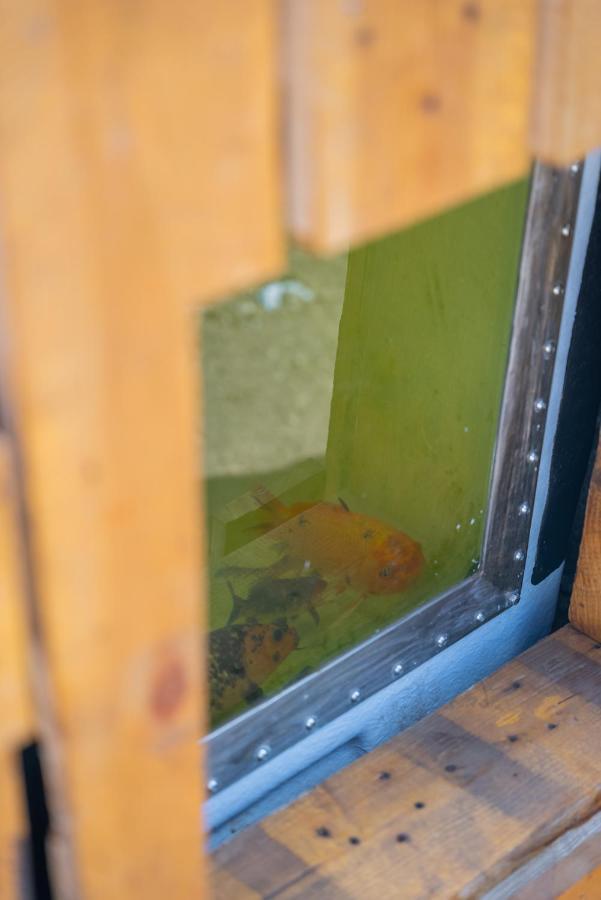 Solar Dos Reis By An Island Homestay *
