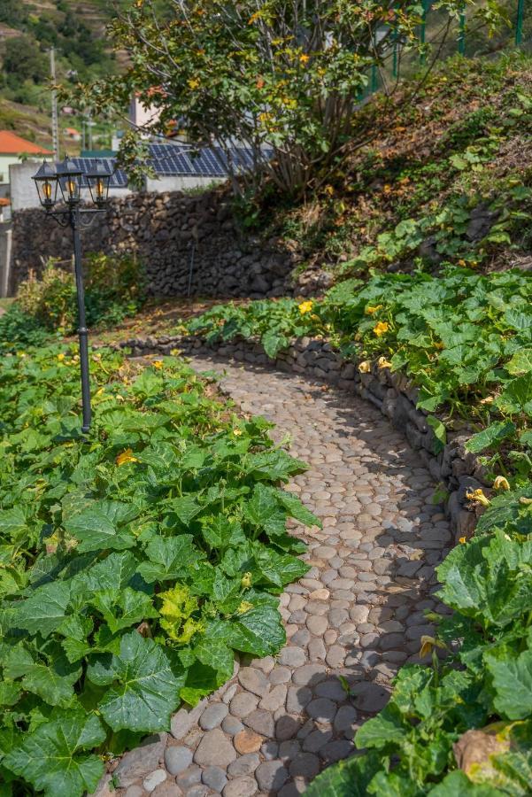 Solar Dos Reis By An Island * Ribeira Brava