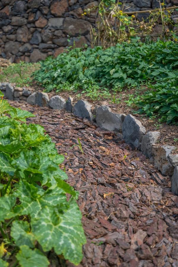 Homestay Solar Dos Reis By An Island