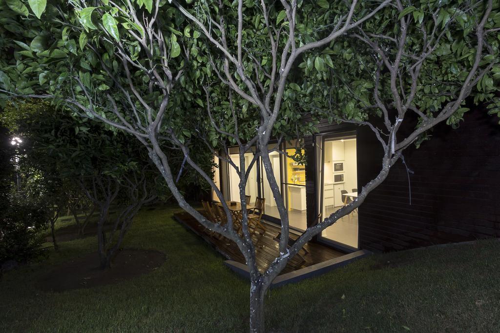 Quinta Rosas Villa Ribeira Grande