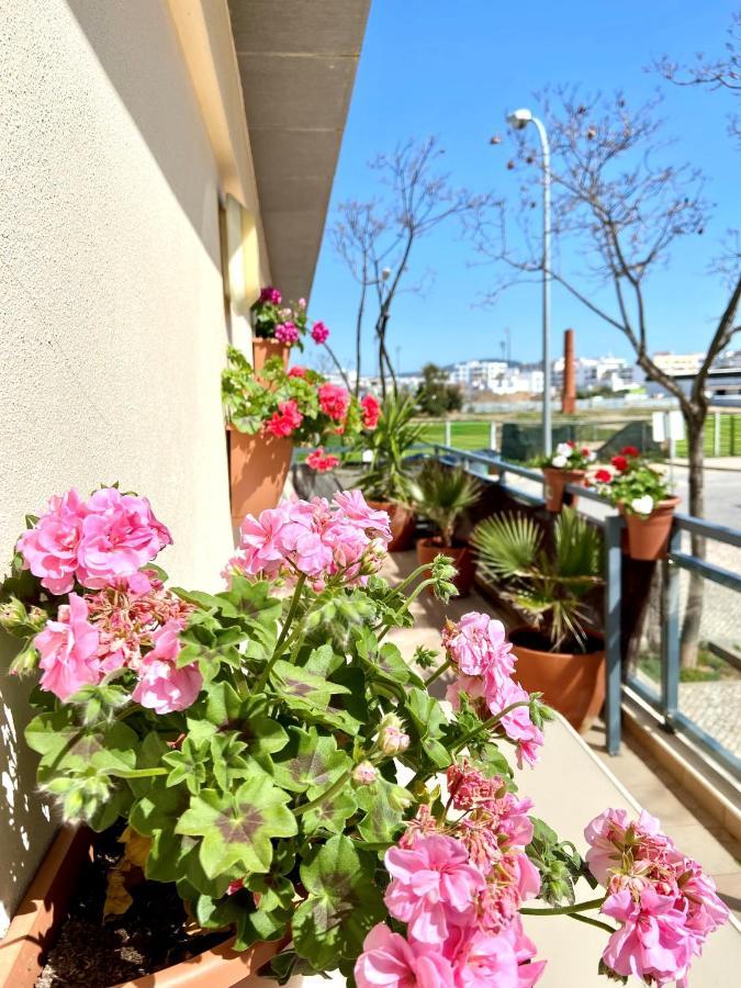 Zenit Luxury Marina Village Apartment *
