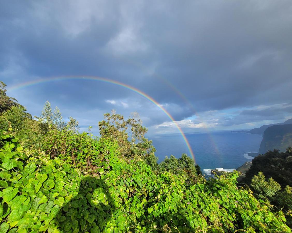 Sleep And Go In Santana In Nature Bed & Breakfast Santana (Madeira)