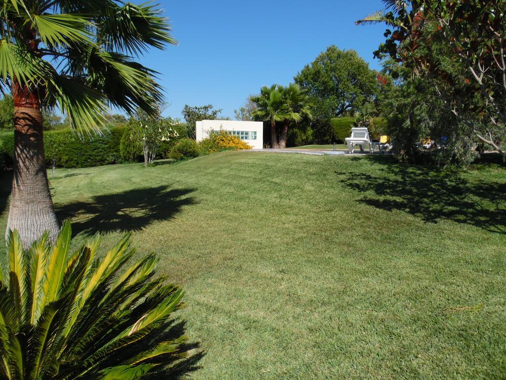 Horta Nova *