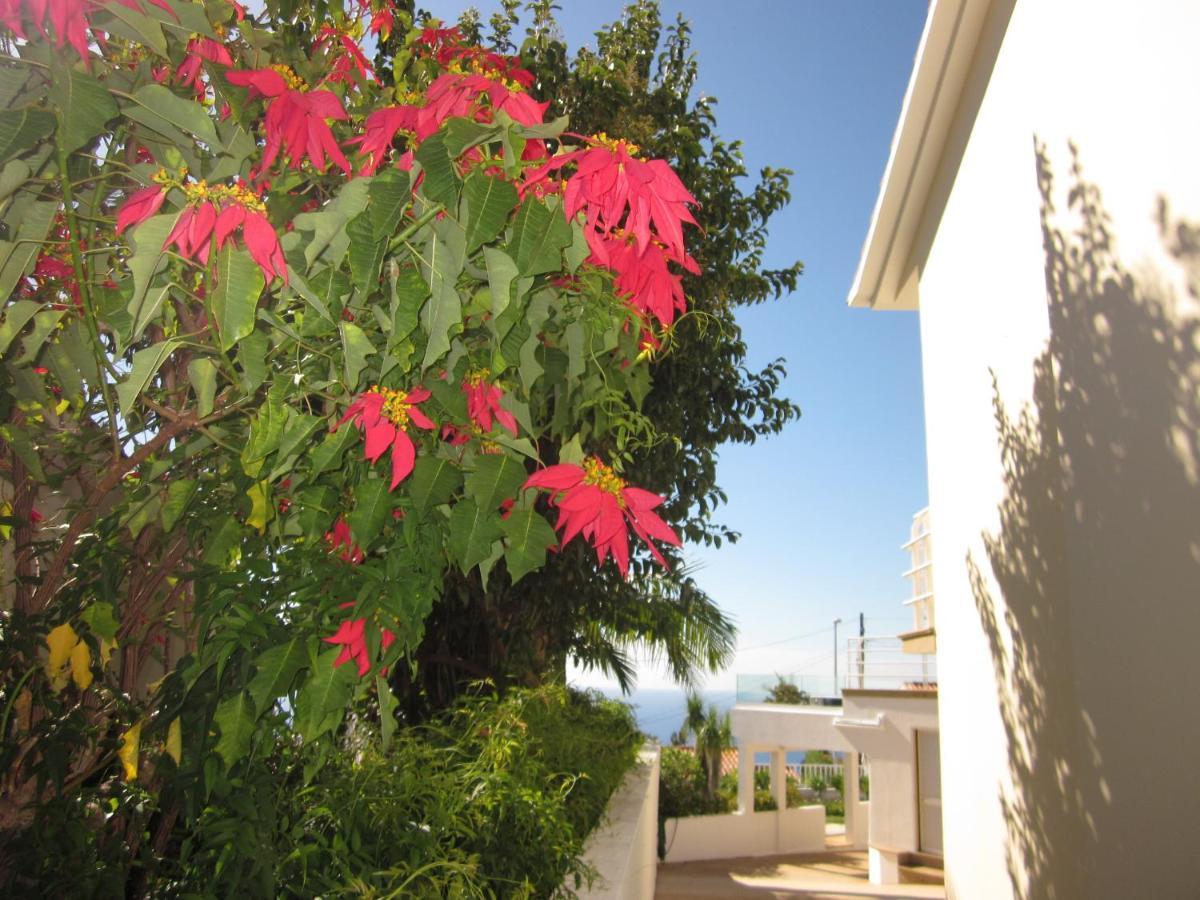 Villa Hansen In Garajau - Cristo Rei