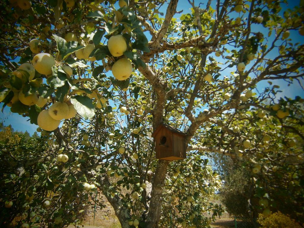 Quinta Do Tempo