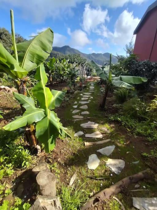 Sea Mountain House Machico (Madeira)