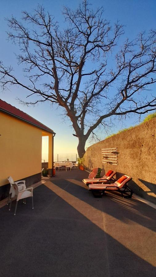 Villa Casa Do Carvalho Calheta (Madeira)