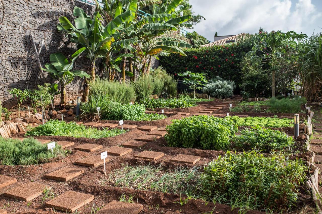 The Views Oasis 4* Canico (Madeira)