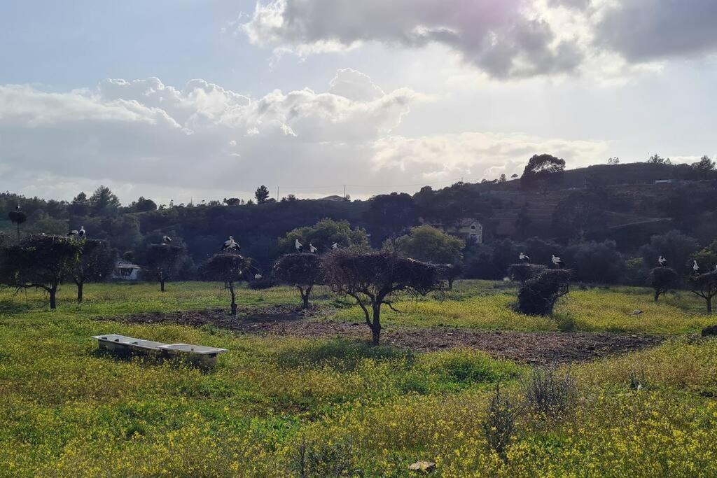 Vista Bonita With Views On The Ocean And The Hills * Portimao